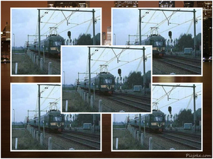 Mat 46 14 oktober 1981 - Zegge (tussen Roosendaal en Breda)