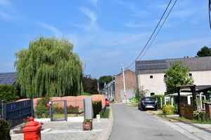 DSC_1476