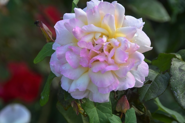 NATUUR...IN STILLE BEWONDERING !