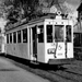 61 in Schoten Iepenburg
