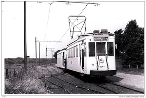 75 in  Lillo