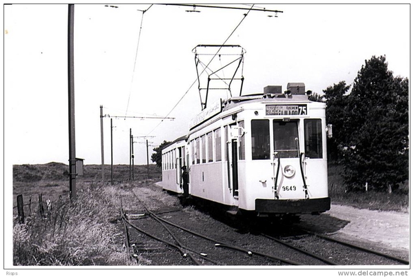 75 Tram Lillo