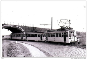 77 ekeren