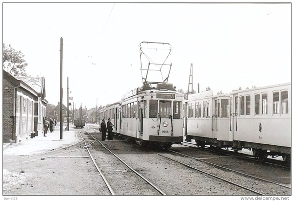77 Tram Zandvliet