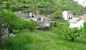 DSC01611