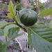 DSC01621