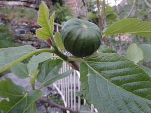 DSC01621