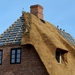 thatched-roof-3439537_960_720