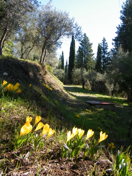 toscane tuscany intersoc reisduiveltje