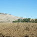 DSCF2141