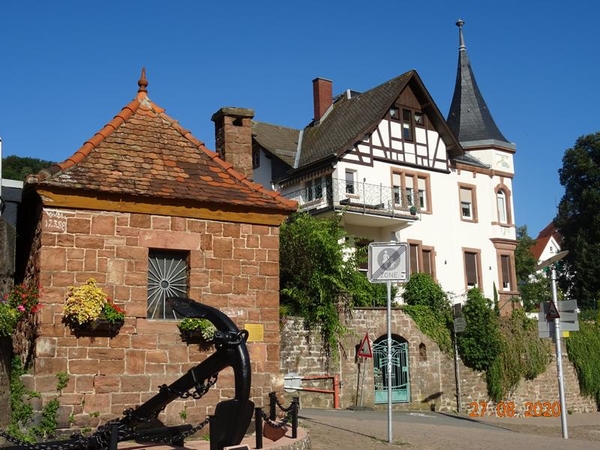 K800_DSC01023 Hirschhorn CPD