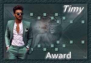 award door paul voor timy