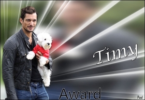 award van paul v timy