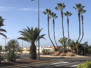 Tenerife