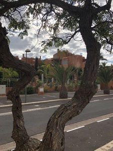 Tenerife