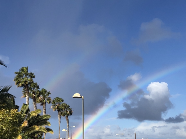 Tenerife