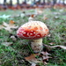 DSC01629
