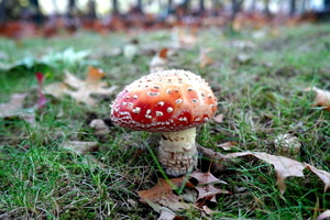 DSC01629