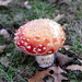 DSC01631