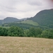 imm002_1A