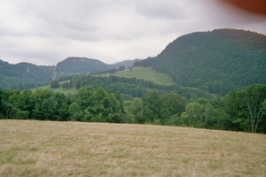 imm002_1A