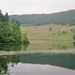 imm006_5A