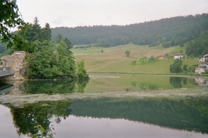 imm006_5A