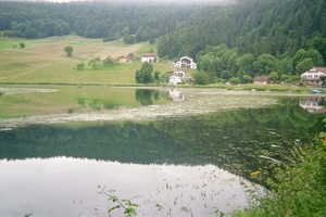 imm007_6A
