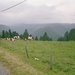 imm008_7A