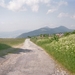 imm011_10A