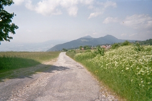 imm011_10A