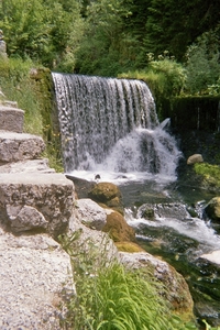 imm013_12A