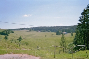 imm019_18A