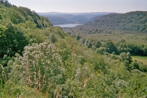 imm025_24A