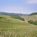 imm031_31A