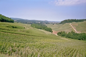 imm031_31A