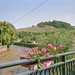 imm033_33A