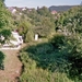 imm037_37A