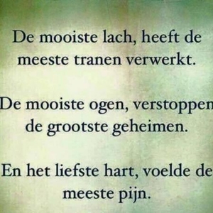 De+mooiste+lach