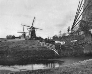 1950. De drie Molens, gezien naar de Stompwijkseweg.