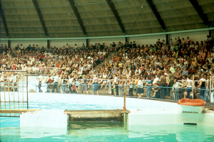 Dolfinarium 2