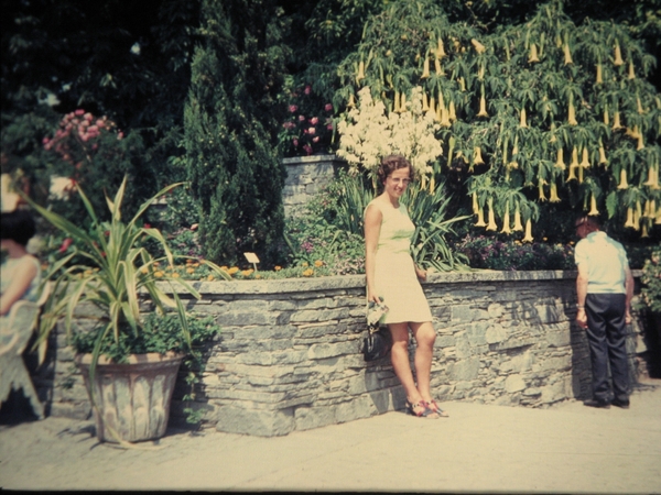 Dia's  Mainau zijn vanaf procjectie scherm gefotografeerd