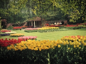 Keukenhof 1970