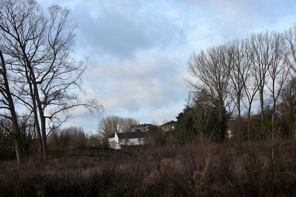 DSC_0331