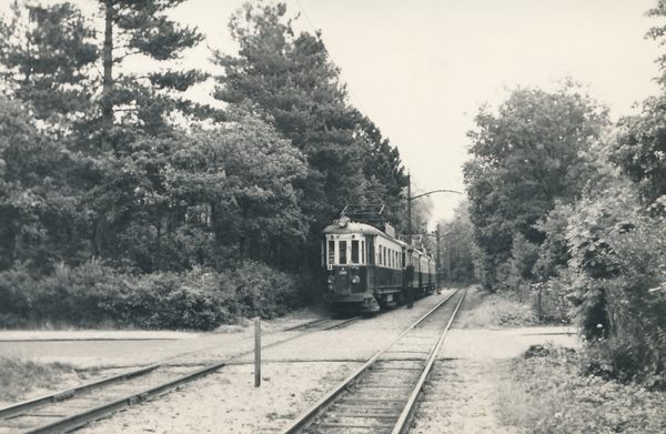 NZH A258+B252+A256+A254 Bentveld Zwarteweg, 19-06-1955
