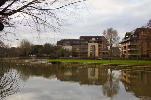 Stadspark-Roeselare,8-01-2021