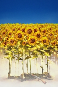 Ukraine_seeds-for-tomorrow-by-yuumei_art_________________________