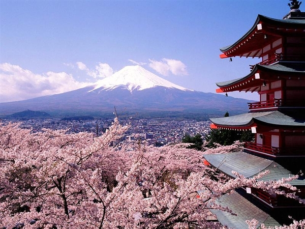 landschap 48 Fuji - Japan (Medium)