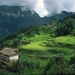 landschap 51   Nepal (Medium)