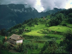 landschap 51   Nepal (Medium)